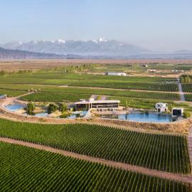 Casa de Uco Vineyards and Wine Resort, hotel Los Árbolesben