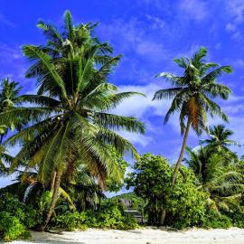 Chalets d'Anse Forbans SelfCatering, hotell sihtkohas Takamaka