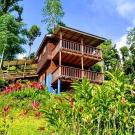 Roots Jungle Retreat, hotel a Marigot
