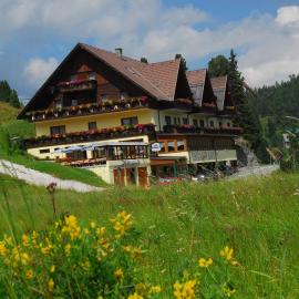 Hotel Turracherhof, hotell i Turracher Hohe