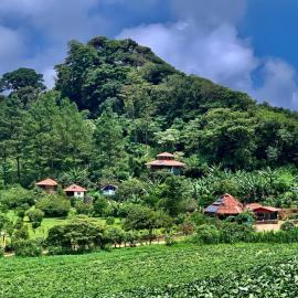 Finca Neblina del Bosque, hotell sihtkohas Estelí