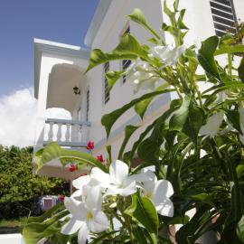 Breezee, hotel in Long Path