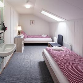 Basic Rooms Jungfrau Lodge, hotel em Grindelwald