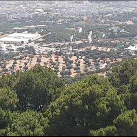 Trullo dell'Immacolata - Casa vacanze gestita da suore,位于塞尔瓦迪法萨诺的酒店
