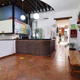 Mexico City Hostel, hotel i Mexico City