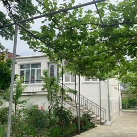 Hostel FORREST, hotel in Koetaisi