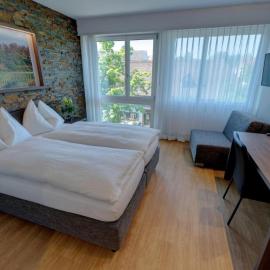 Hotel Eremitage, hotel en Arlesheim