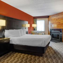 BEST WESTERN PLUS Poconos, מלון בטנרסוויל