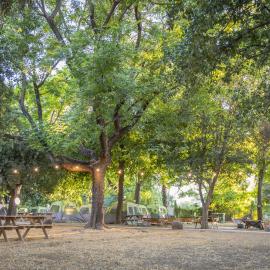 Camping Dafna - By Travel Hotel Chain, hotel a Dafna