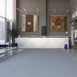 Art Hotel Olympic, hotel a Torí