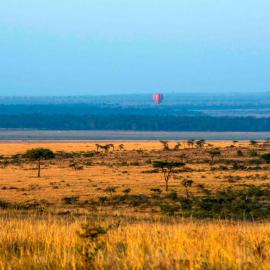 Kandili Camp, hotell i Musiara Campsite