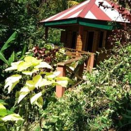 Berkey's Jungle Paradise, Hotel in Roseau