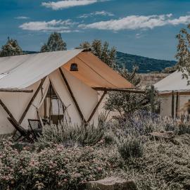 Salterra Glamping, hotel u gradu 'Tequisquiapan'