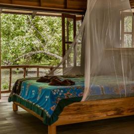 Monkey Mansion - Jungalows & Tours, hotell sihtkohas Khao Sok