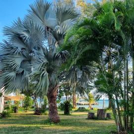TK Beach Resort Koh Mak, hotel u gradu 'Ko Mak'
