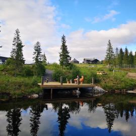 Blåfjell hundesenter fjellhotell, hotel i Mosjøen