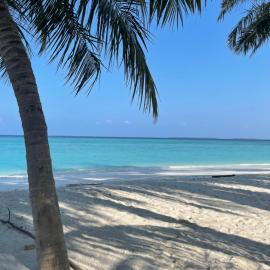 Hanimaadhoo में, होटल Viluveli Holiday Retreat
