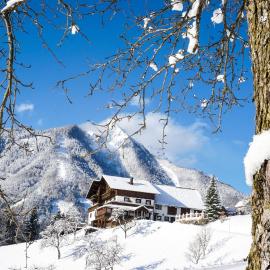 Hotel & Destillerie Sonnfeld