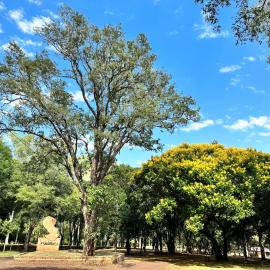 Parque Hotel Manantial