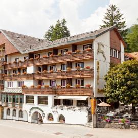Hotel Hirschen Wildhaus, hotel v destinácii Wildhaus