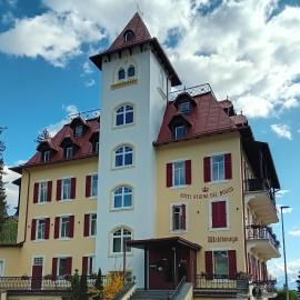 Hotel Regina del Bosco