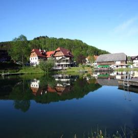 Seegasthof Breineder - Familien & Seminarhotel, hotel em Mönichwald