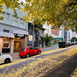 Gamma Hotel, hotel in Auckland
