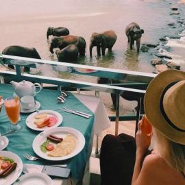 Hotel Elephant Park - Most Elephant Bathing View Rooms in Pinnawala โรงแรมในพินนาวาลา