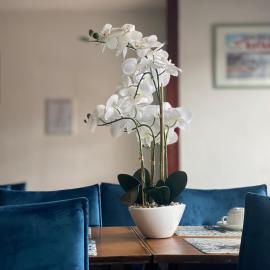 Hotel le Pasteur, хотел в Роаян