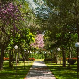 Green Park Divjake, hotel em Divjakë