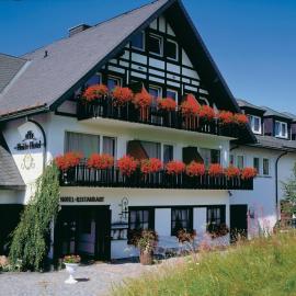 Winterberg में, होटल Heidehotel Hildfeld