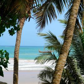 Busua Inn, hotel in Busua