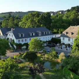 Hotel und Weingut Karlsmühle, хотел в Mertesdorf