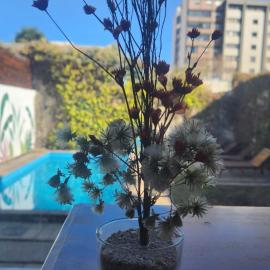 Pachá Hostel Backpack, khách sạn ở Salta