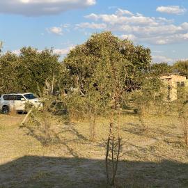 Mababe River Campsite, hotell sihtkohas Mababe