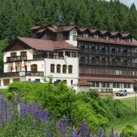 Hotel Zieleniec