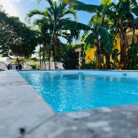 Bon Bini Kokolishi, hotel in Willemstad