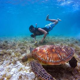Empyrean Stay, Maldives، فندق في ثولوسدو