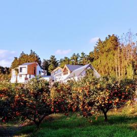 Walden Studios, hotel en Seogwipo