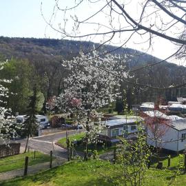 Camping Officiel Wollefsschlucht Echternach, Hotel in Echternach