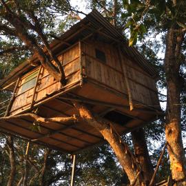 Pemsee's Tree Town - Eco Treehouse Hostel, hotel v destinácii Sauraha