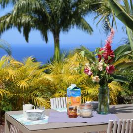 Villa Ô Perchée, Vue Mer Panoramique et Piscine Privée, hotell i Pointe-Noire