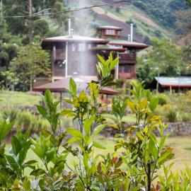 Los Quetzales Ecolodge & Spa, hotel in Cerro Punta