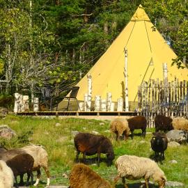 Västeräng Glamping, khách sạn ở Lillandet