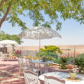 Villa 1000, hotel v mestu Arad