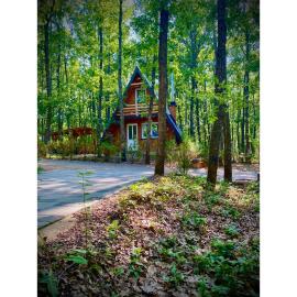 STANET Forest Houses, hotel u gradu Novoberdo