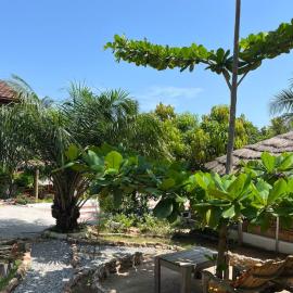 African Treasure Beach Resort, готель у місті Kokrobite