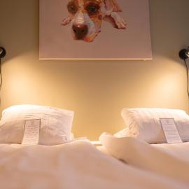 Slottshotellet Annex, hotel en Kalmar