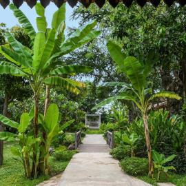 Siem Reap lodge Eecfc Home Stay VSH，位于Phumĭ Ta Rós的酒店