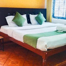 Baga Beach Paradise, hotel in Baga
